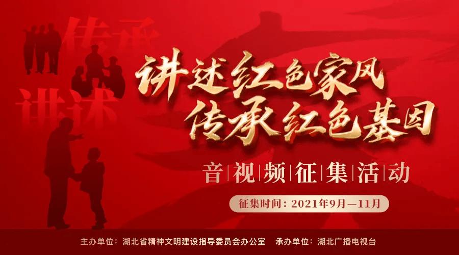 狗狗物品记忆卡